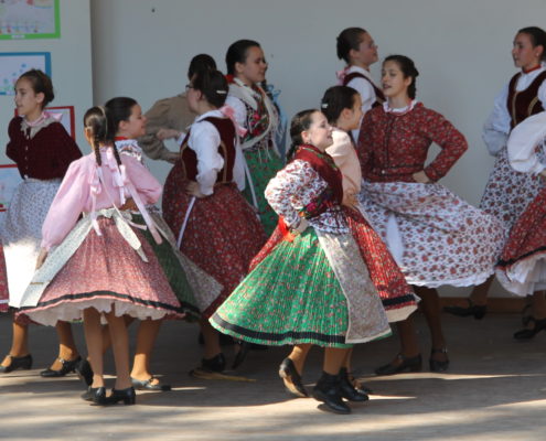 A fotót készítette: Mohai Sarolta